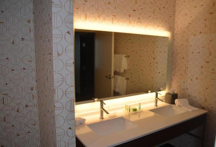 适合残疾人士使用的套间, Holiday Inn   Nw Houston Beltway 8, An Ihg