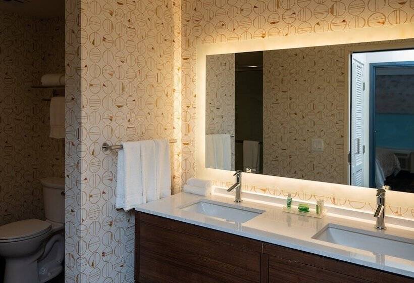 适合残疾人士使用的套间, Holiday Inn   Nw Houston Beltway 8, An Ihg