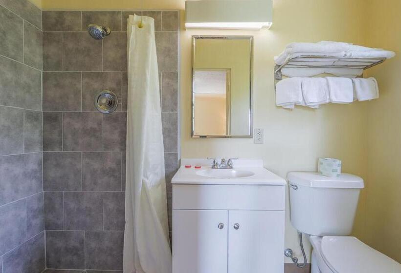 Люкс, OYO Hotel North Lima OH - Boardman