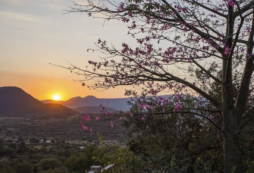 디럭스 스튜디오, The Royal Palm Bed & Breakfast