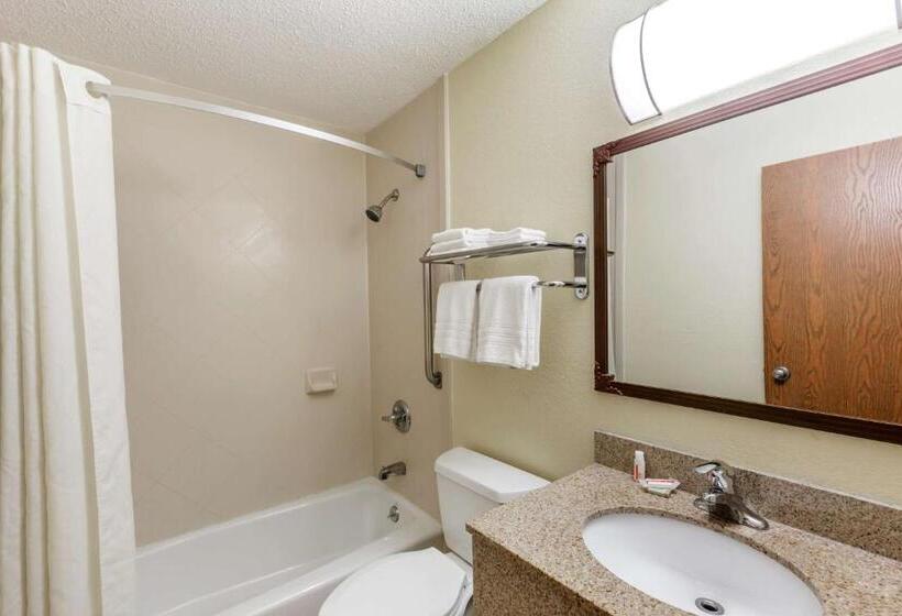 带大床的套房, Super 8 By Wyndham Latham   Albany Airport