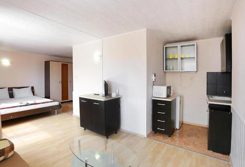 Студио Стандарт Кровать Кинг, Sineva Guest House