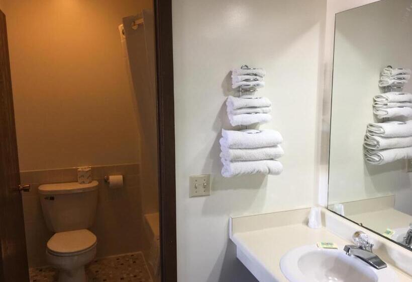 标准间, Thunderbird Motor Inn