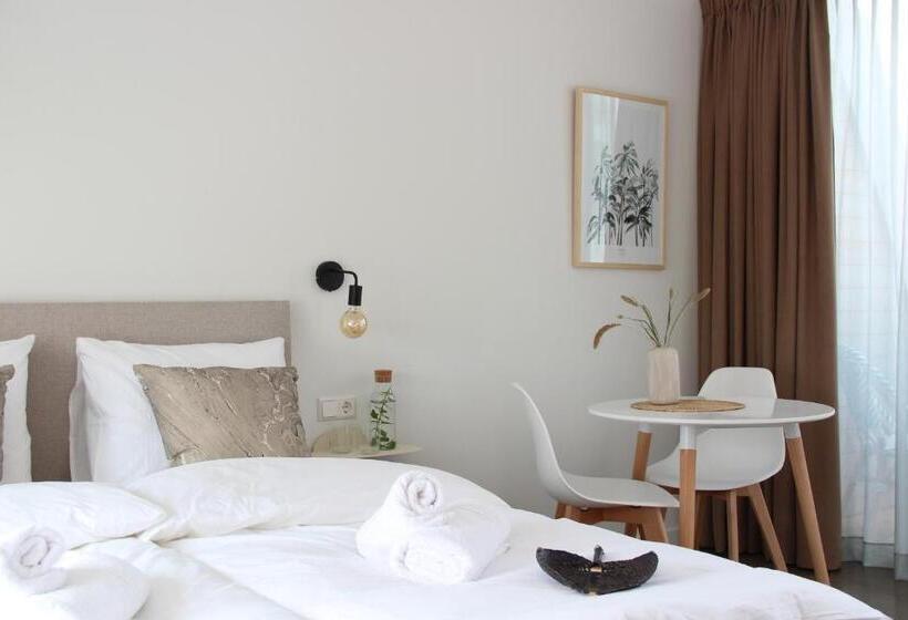 수피리어 룸, Paradis Zandvoort