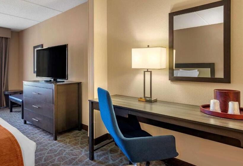 חדר סטנדרט, Comfort Suites Alpharetta Roswell   Atlanta Area