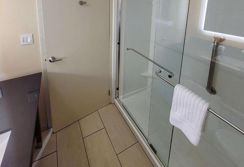 חדר סטנדרט עם מיטת קינג, Comfort Suites Alpharetta Roswell   Atlanta Area