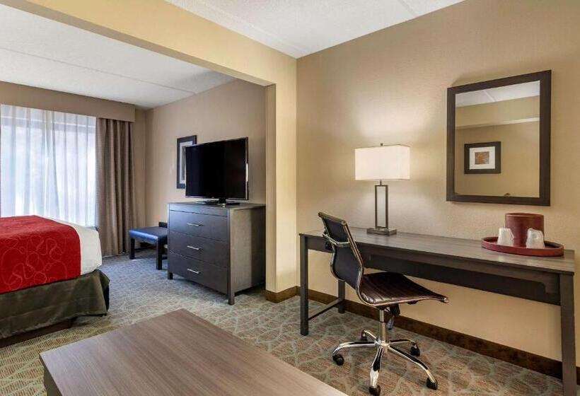 חדר סטנדרט עם מיטת קינג, Comfort Suites Alpharetta Roswell   Atlanta Area