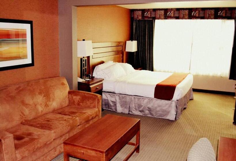 스탠다드 룸 킹사이즈 침대, Holiday Inn Express & Suites Bozeman West, An Ihg