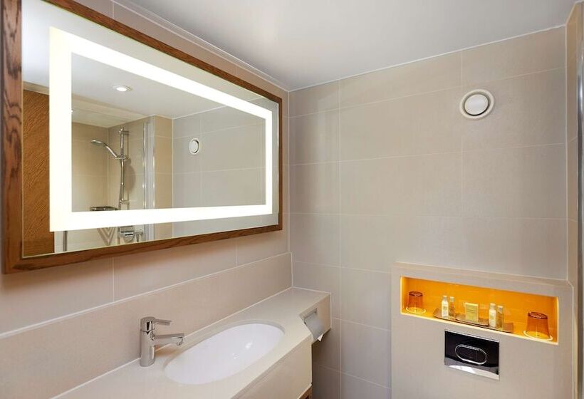 Номер Deluxe Вид на Парк, Doubletree By Hilton Hotel London   Hyde Park