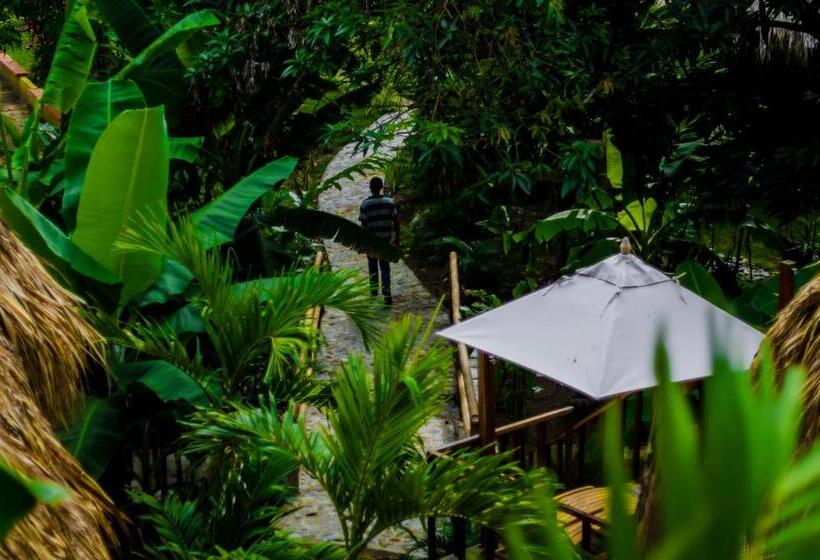 스탠다드 방갈로, Tayrona Paradise