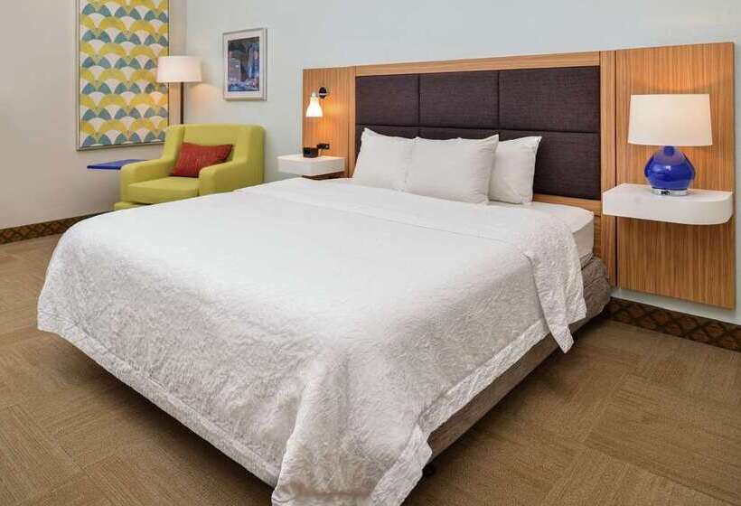 Номер Стандарт Кровать Кинг Адаптированный для Инвалидов, Hampton Inn & Suites Conway