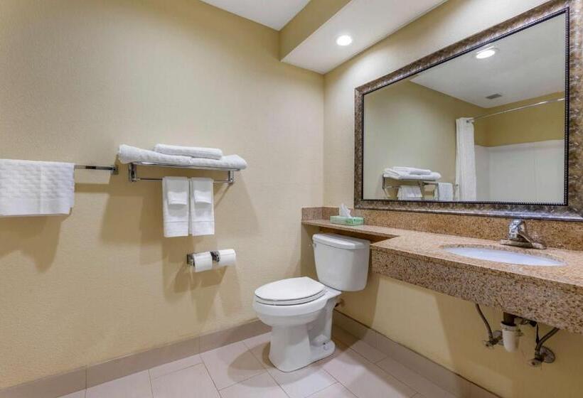 Номер Стандарт Кровать Кинг Адаптированный для Инвалидов, Best Western Seneca Clemson