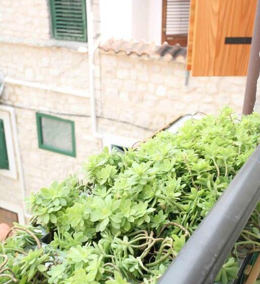 اتاق استاندارد, Rooms Beljan