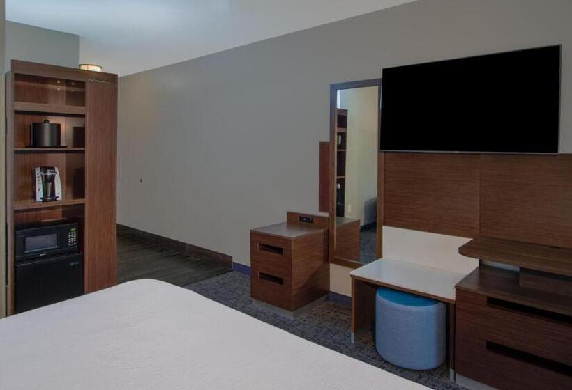 Люкс Кровать Кинг, Fairfield Inn & Suites Houston Katy