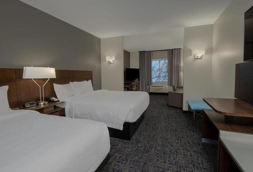 Люкс, Fairfield Inn & Suites Houston Katy
