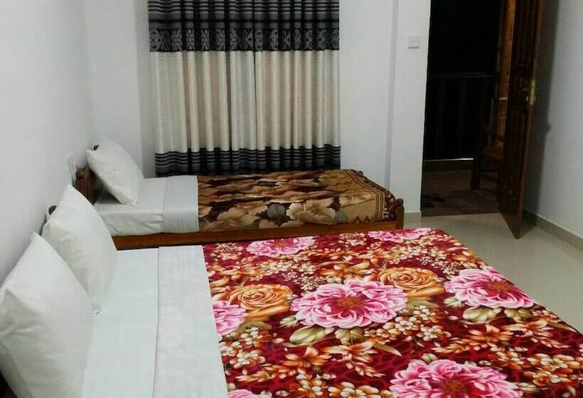 Standard Trippelrum, Tea Breeze Motel