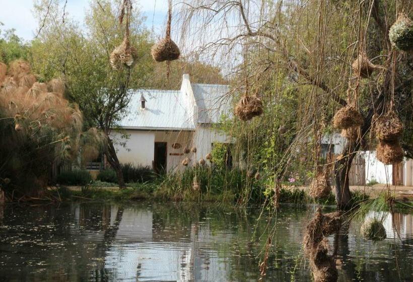 Дом 1 Спальня, The Olive Thrush Cottage