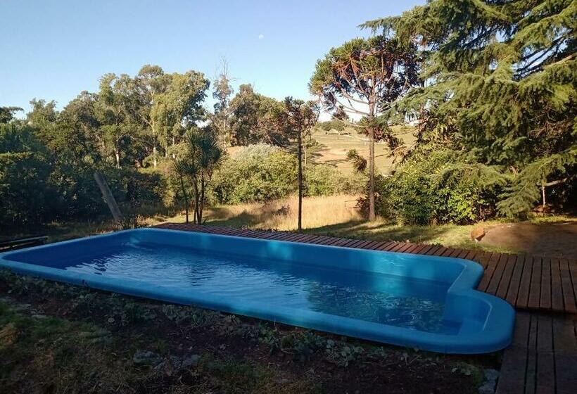 آپارتمان 1 خوابه, Posada A Viagem