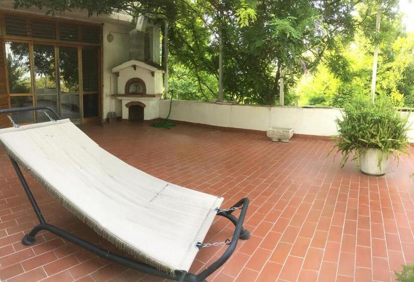 Семейное Студио, B&b Apricot