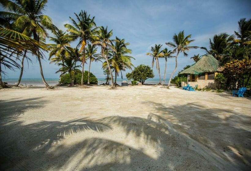 スタンダードバンガロー, Costa De Cocos