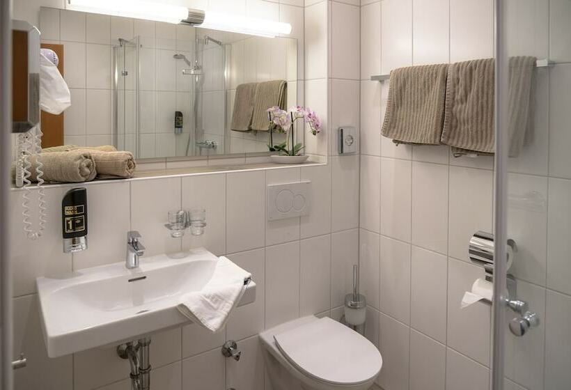 Номер Superior, Landgasthof Mörsbergei