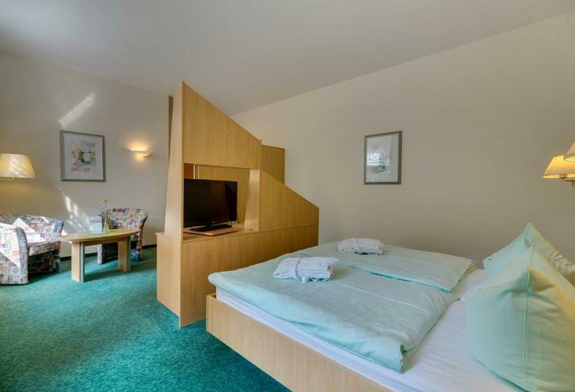 Номер Стандарт, Kurhotel Bad Schlema