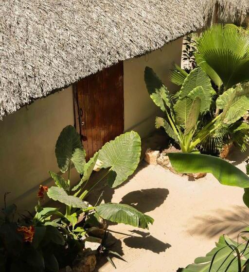 کابین, Casa Mate Beachfront Cabañas El Cuyo
