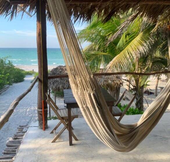 수피리어 스위트 바다 전망, Casa Mate Beachfront Cabañas El Cuyo