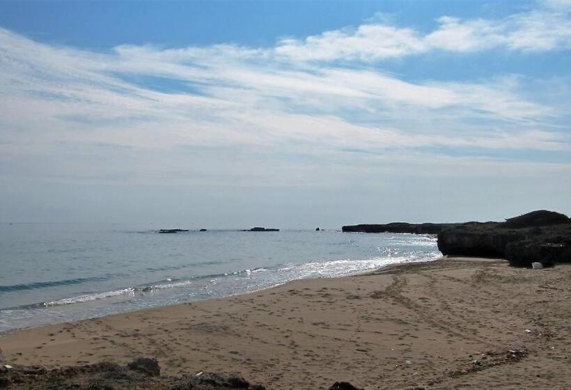 Номер Стандарт Вид на Сад, B&b Neptunia Fronte Mare