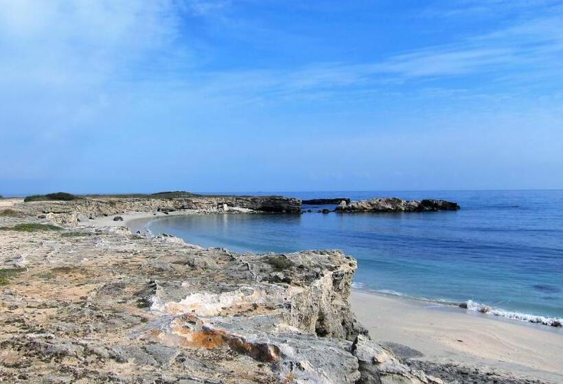 Номер Стандарт с Балконом, B&b Neptunia Fronte Mare