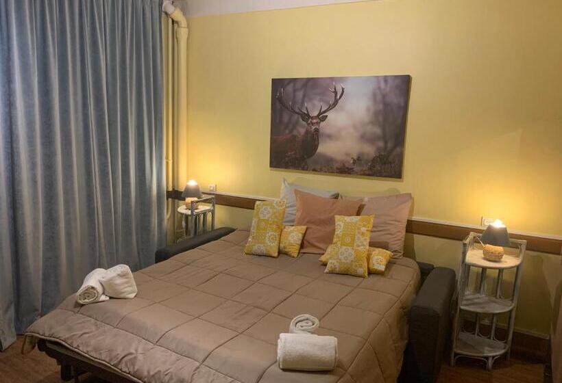 适合残疾人士使用的带超级大床的标准间, Hôtel Du Cheval Blanc Barcelonnette