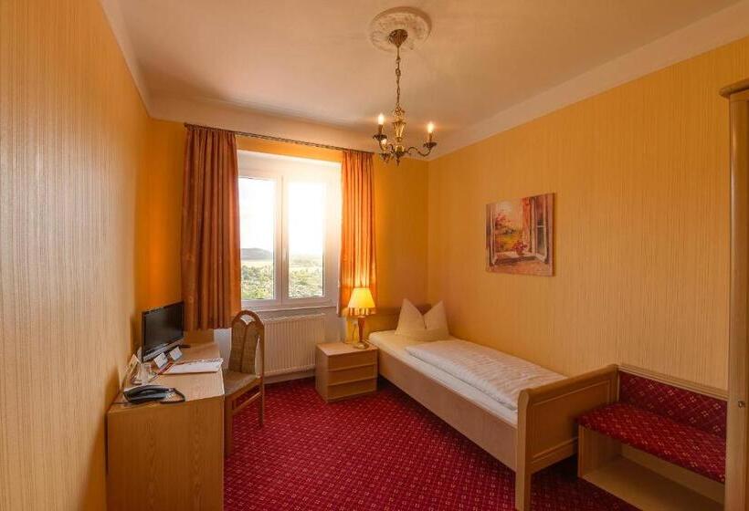 Номер Стандарт Индивидуальный, Flair Hotel Villa Ilske