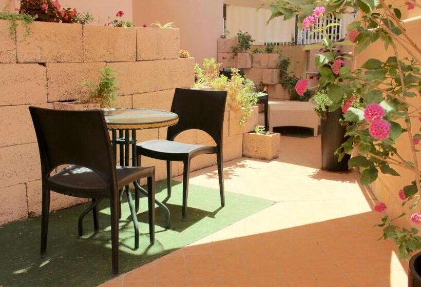 اتاق استاندارد با تراس, Be Inn