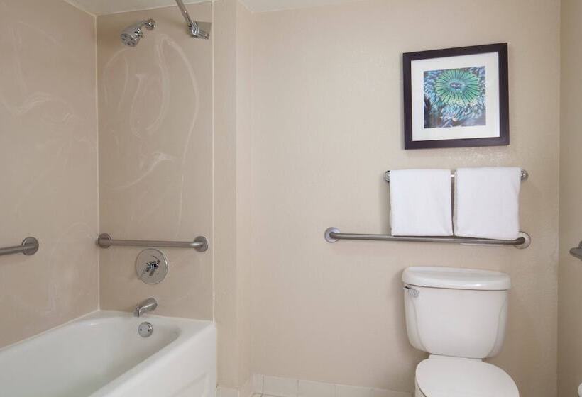 家庭套房, Residence Inn Orlando Lake Buena Vista