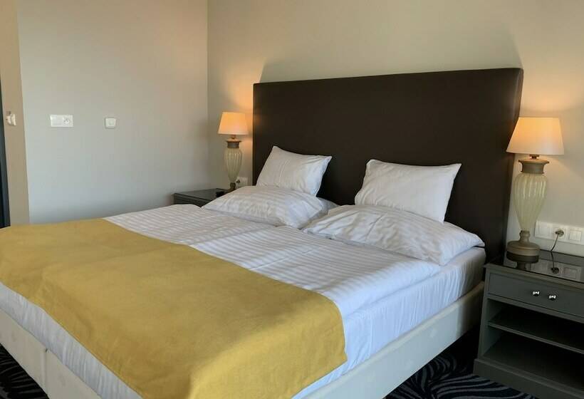 带1个卧室的豪华公寓, Parkhotel Carlsbad Inn