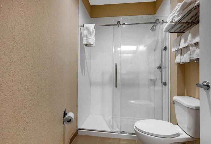스위트 킹사이즈 침대, Comfort Inn & Suites Montgomery East Carmichael Rd