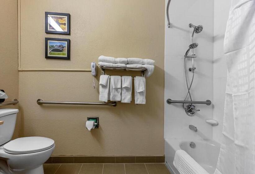 장애인을 위한 스위트, Comfort Inn & Suites Montgomery East Carmichael Rd