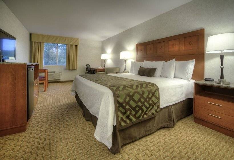 Номер Deluxe Одноместный, Moab Valley Inn