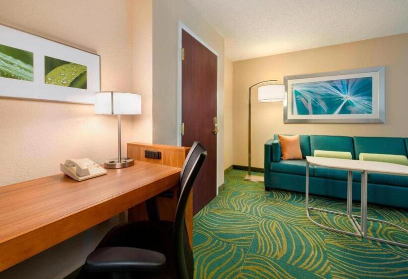 Люкс Кровать Кинг, Springhill Suites Mishawaka University Area