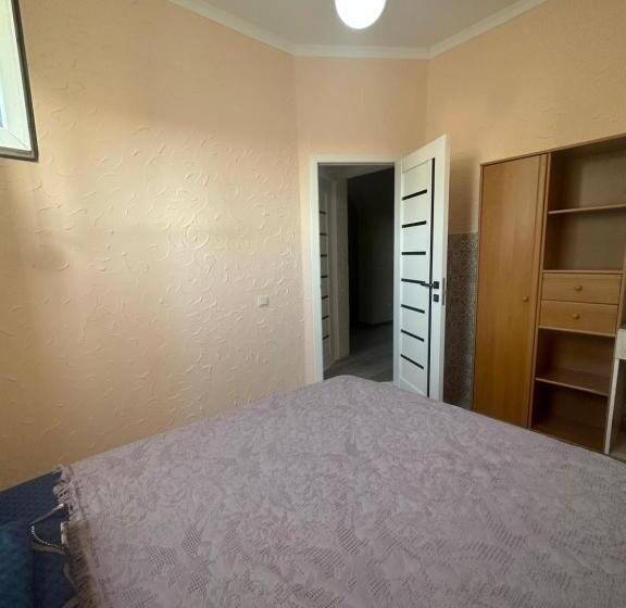 اتاق اکونومی یک تخته, Sweet Home Hostel