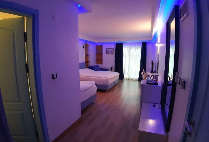 디럭스 룸, Alis Boutique Otel