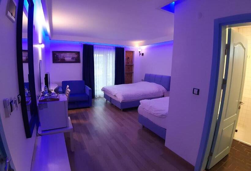 스탠다드 트리플 룸, Alis Boutique Otel
