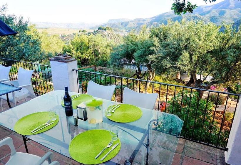 Номер Стандарт, Olive Branch El Chorro