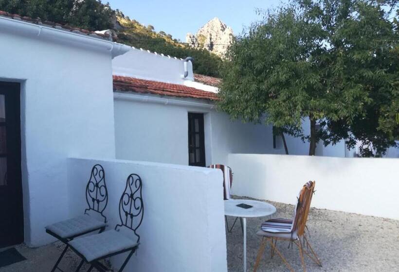 Семейный Номер, Olive Branch El Chorro