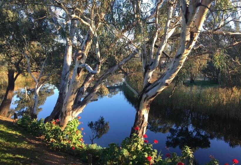 חדר סטנדרט עם טרסה, Donald Riverside Motel