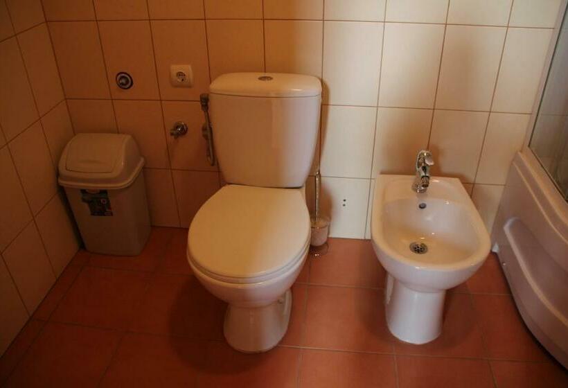 Suite Duplex, готель мараморош