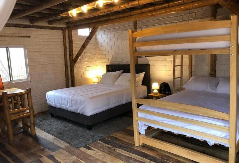 패밀리 룸, Cabalonga Ecoadventure
