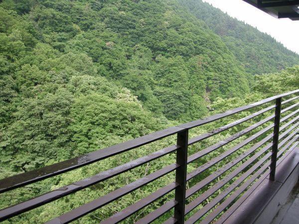 غرفة قياسية مطلة على الجبل, Hiranoya