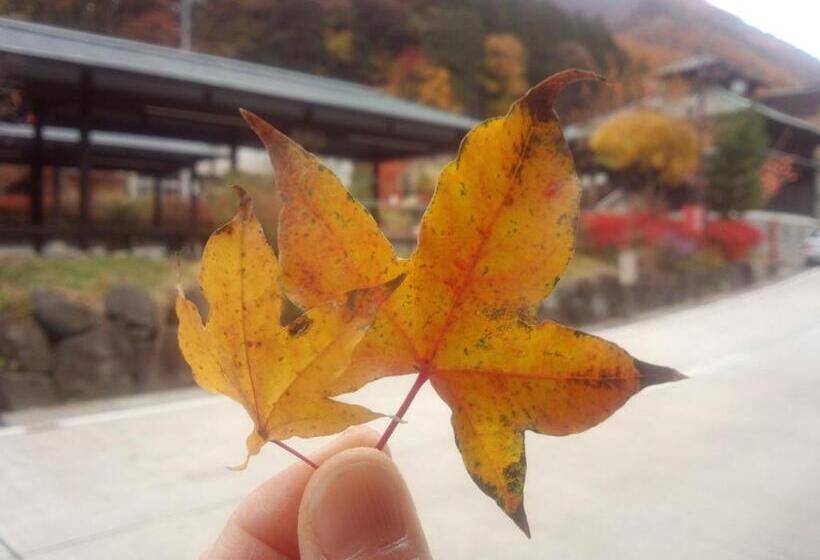 غرفة قياسية, Hiranoya