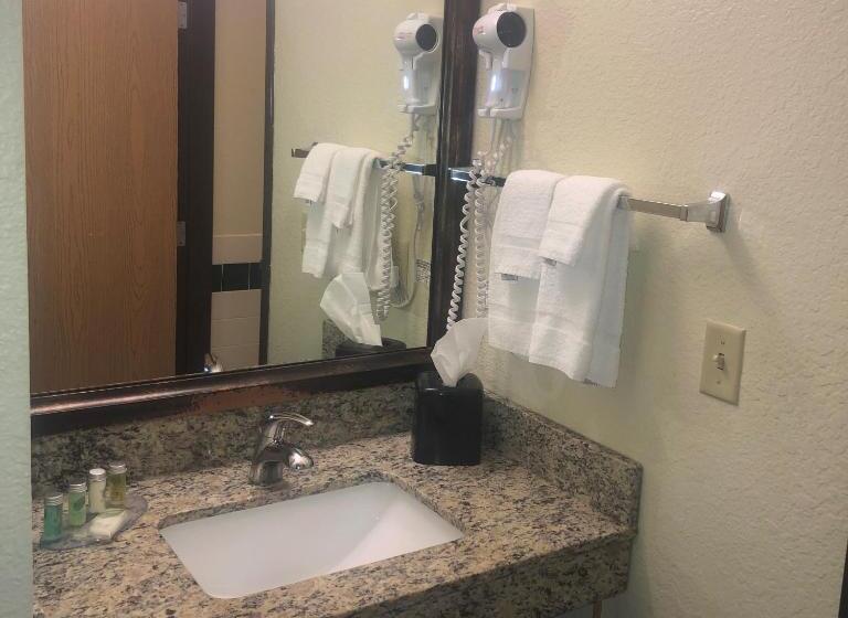 스위트 킹사이즈 침대, Cobblestone Hotel & Suites   Wisconsin Rapids